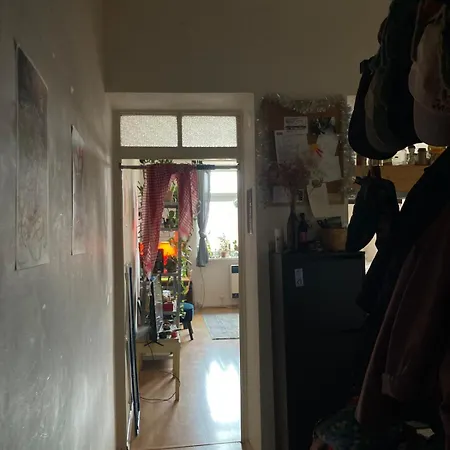 Cozy Flat Near The Center Of Daire