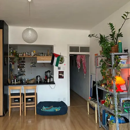 Cozy Flat Near The Center Of Daire *